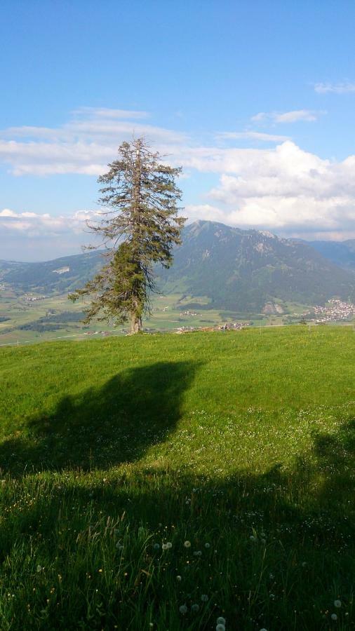 Ferienwohnung Schoenau Immenstadt im Allgäu Kültér fotó